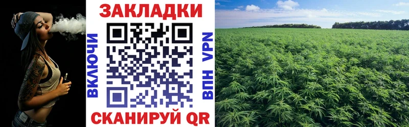 Купить закладку Гашиш  Бошки Шишки  Меф мяу мяу  Кондопога
